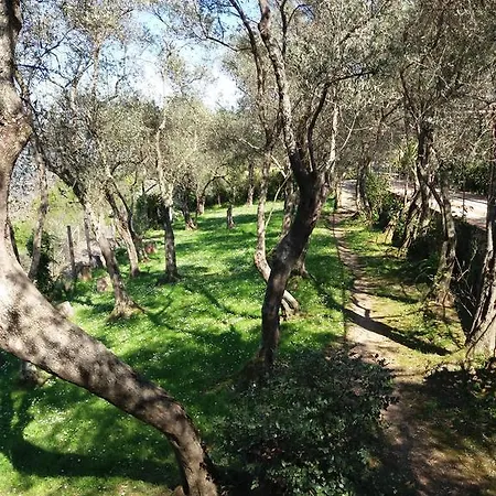 Agriturismo La Mela Secca Bed and breakfast *
