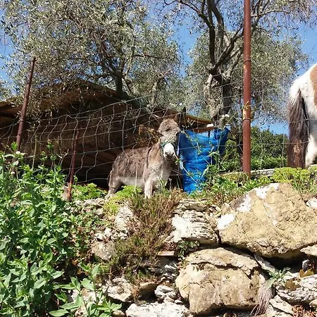 Agriturismo La Mela Secca