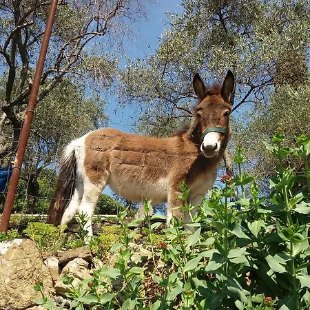 Agriturismo La Mela Secca